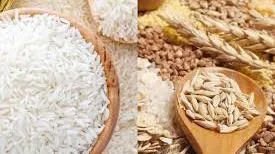 Giá lúa gạo hôm nay 11/1/2022: Nhiều doanh nghiệp đã có đơn hàng đến quý 3 năm 2023