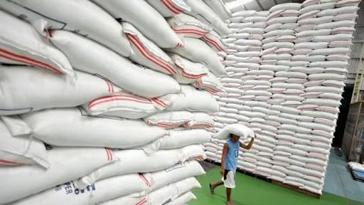 Giá lúa gạo hôm nay 13/1/2022: Giá lúa Đông Xuân đạt mức cao, nông dân phấn khởi