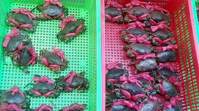 Giá cả thị trường hôm nay 13/1/2023: Giá cả các loại thủy sản