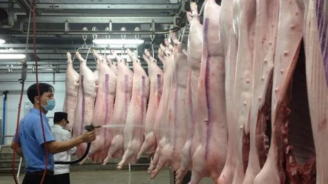 Sớm đưa vào sử dụng phần mềm quản lý giết mổ động vật