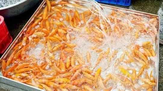 Giá cả thị trường hôm nay 14/1/2023: Thị trường đồ cúng ông Công, ông Táo giá ổn định