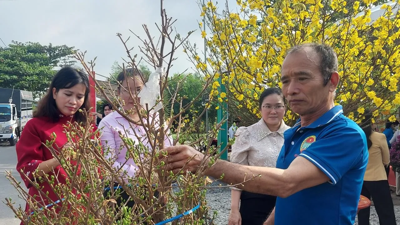 TPHCM: Chợ hoa Tết đồng loạt mở từ hôm nay