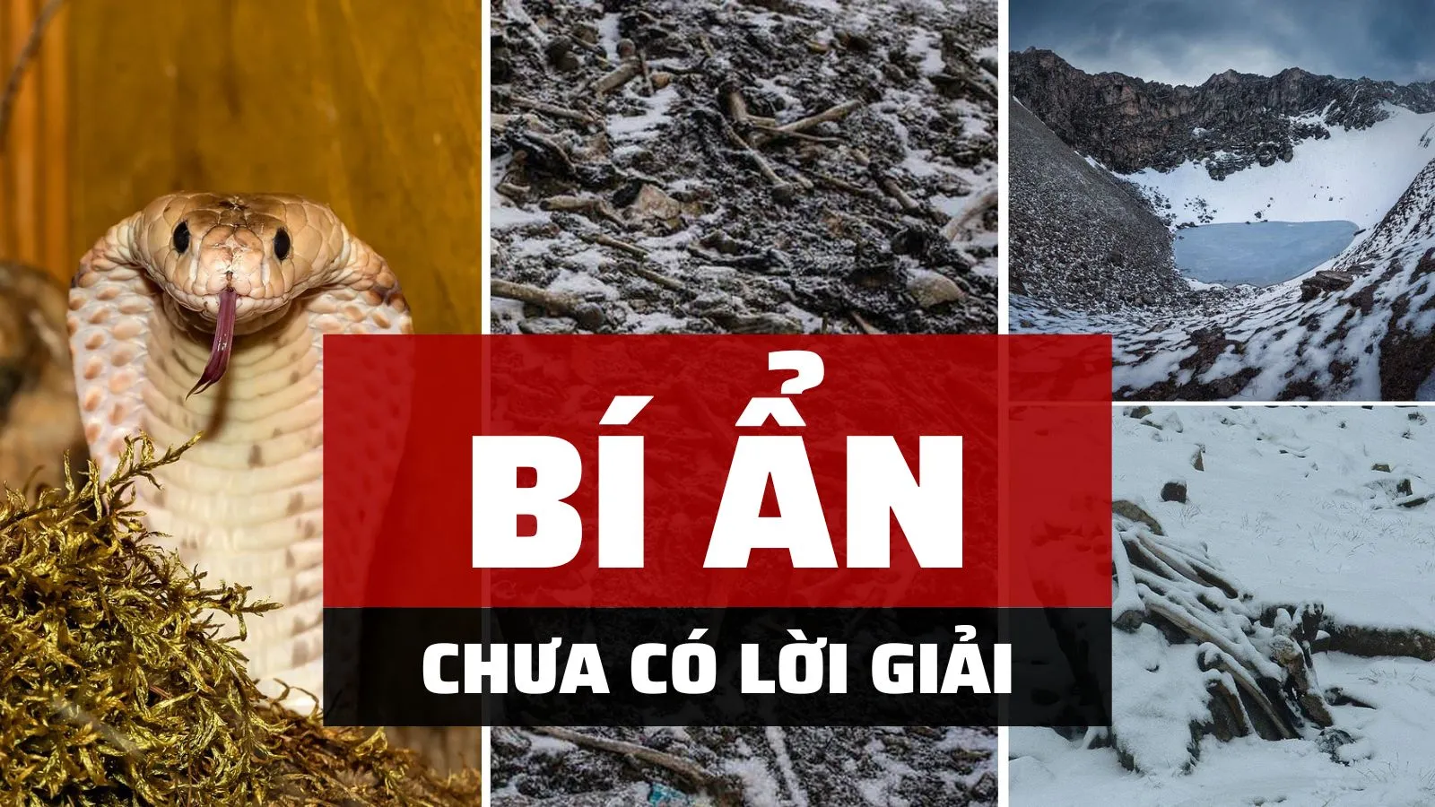 Ấn Độ và 4 điều bí ẩn chưa có lời giải