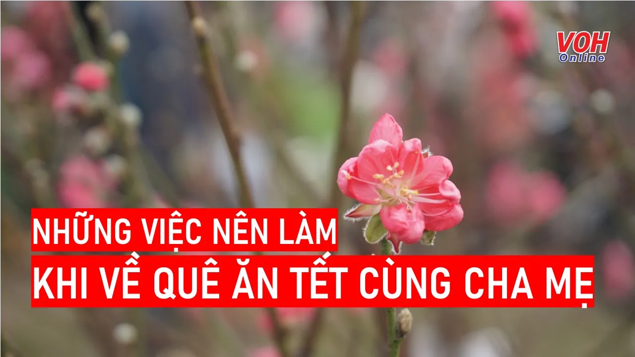 Những việc nên làm khi về quê ăn Tết cùng cha mẹ