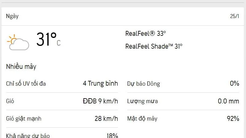 Dự báo thời tiết TPHCM hôm nay 25/1 và ngày mai 26/1/2023: dịu nắng, nhiệt độ dễ chịu