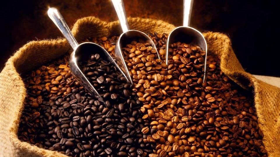Giá cà phê hôm nay 2/2/ 2023: Bất ngờ lao dốc đến 800 đồng/kg