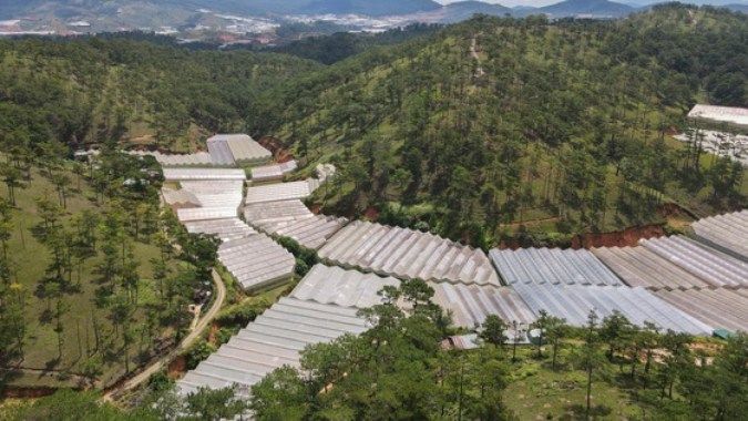 Lâm Đồng: Tháo dỡ hơn 97 ha nhà kính, nhà lưới trên đất lâm nghiệp