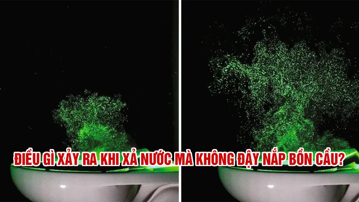 Vì sao nên đậy nắp bồn cầu trước khi xả nước?