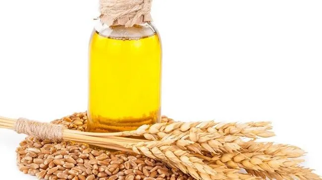 Vitamin E có thể cải thiện 58% gan nhiễm mỡ