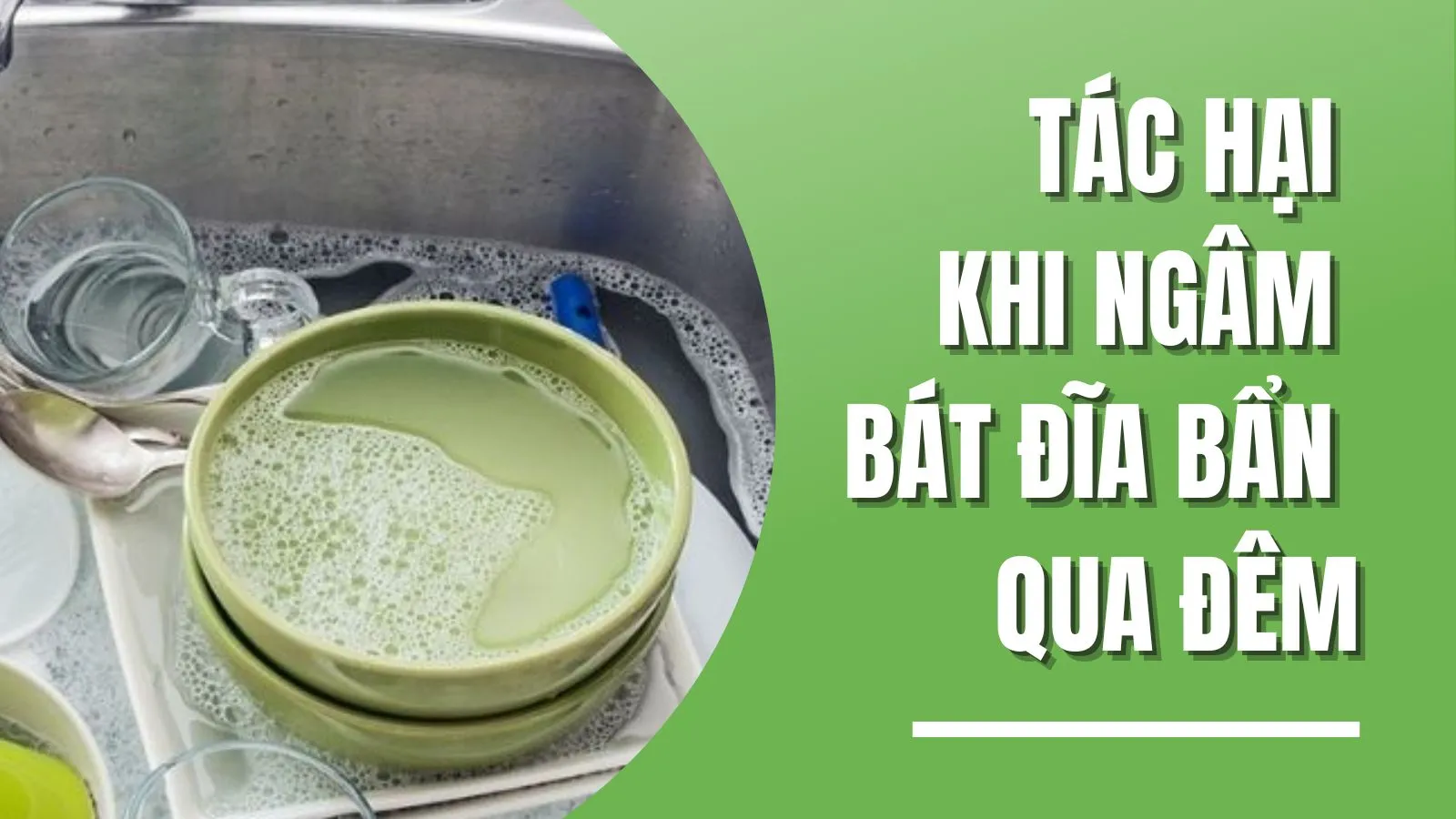 Không nên ngâm bát đĩa bẩn qua đêm: Tại sao?