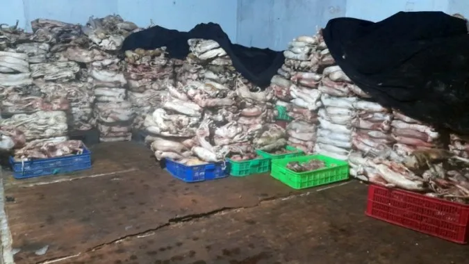 Phát hiện 4 tấn mèo đông lạnh chuẩn bị nấu cao
