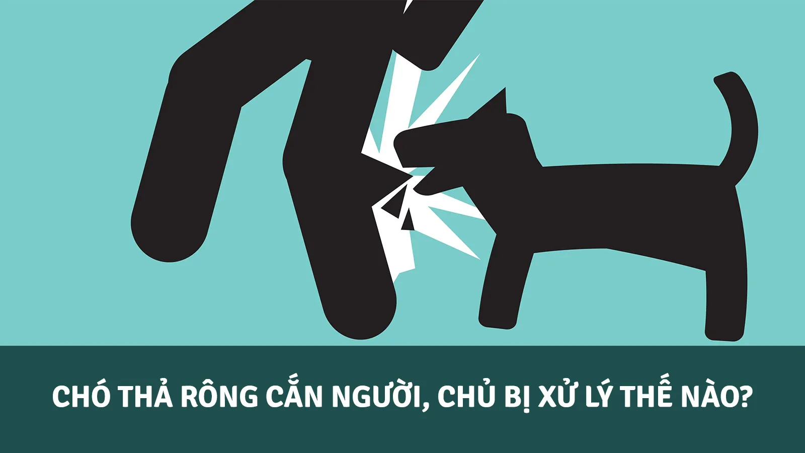 Chó thả rông cắn người, chủ bị xử lý như thế nào?