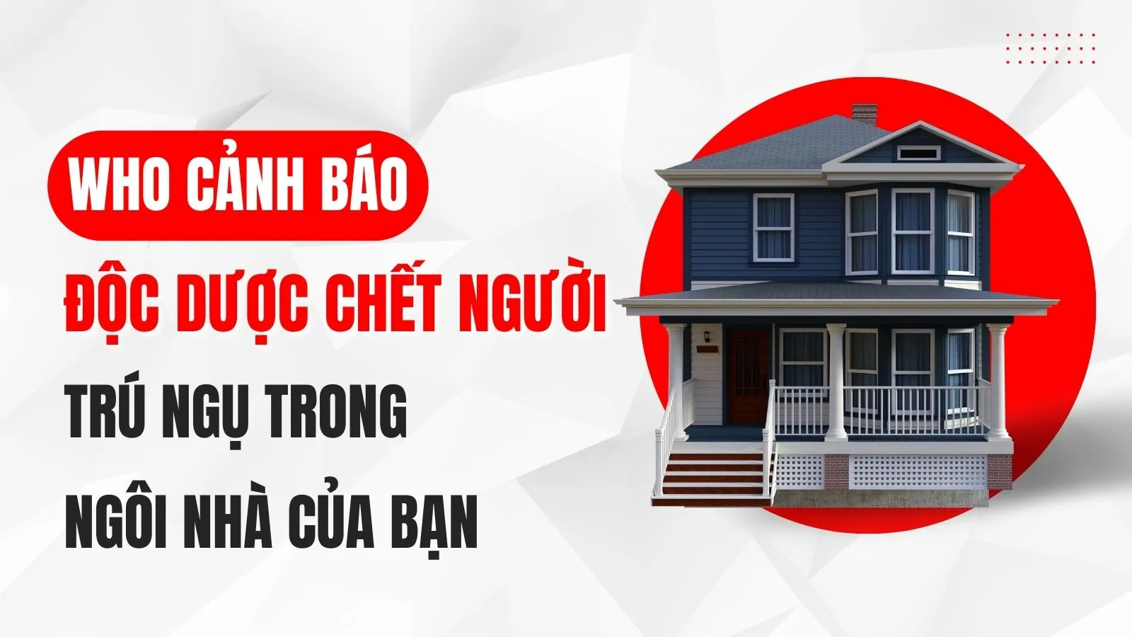 WHO cảnh báo một loại độc dược nguy hiểm trú ngụ trong ngôi nhà của bạn