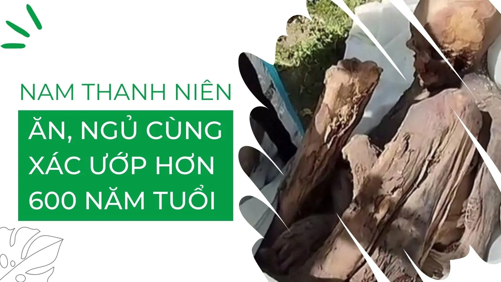 Nam thanh niên sống chung với xác ướp hơn 600 năm tuổi suốt hàng chục năm