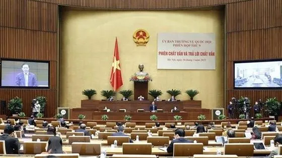 Ngày 20/3: Chánh án TAND tối cao và Viện trưởng VKS Nhân dân tối cao trả lời chất vấn