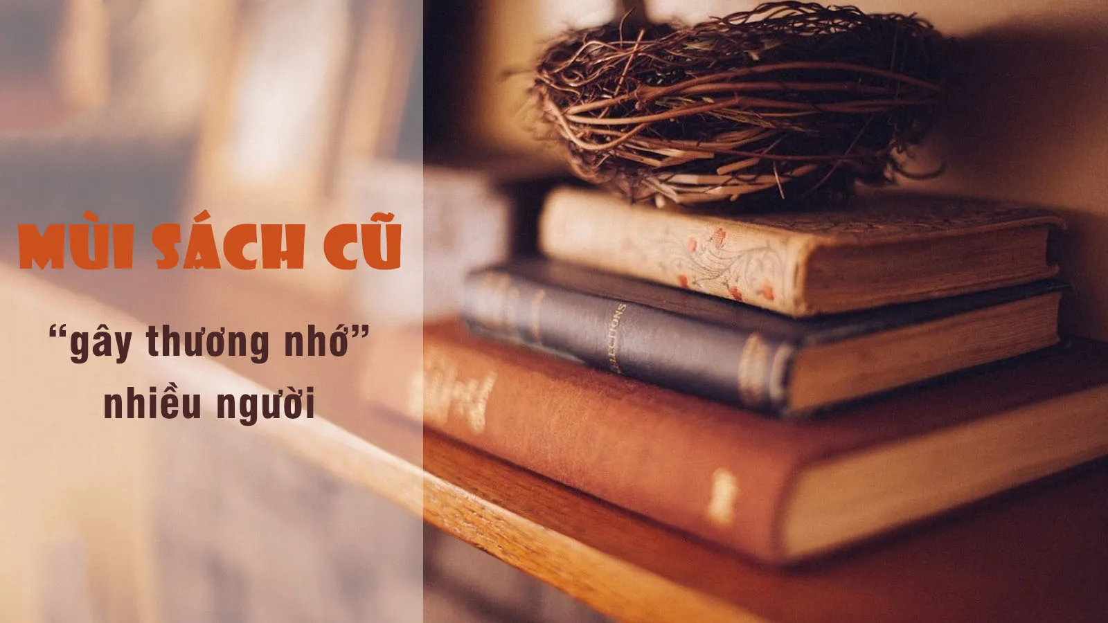 Mùi sách cũ có gì mà khiến nhiều người bị “ghiền” khi ngửi?
