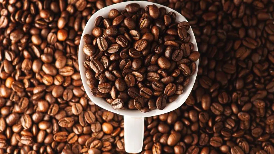 Giá cà phê hôm nay 8/3/2023: Quay đầu tăng nhẹ do tồn kho giảm giúp Arabica tiếp tục tăng