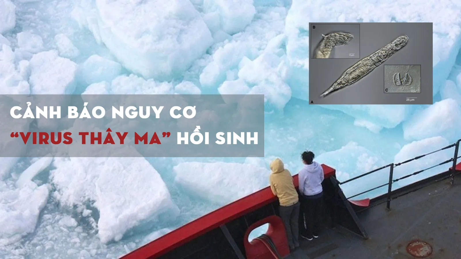 Virus “thây ma” hồi sinh sau 48.000 năm bị đóng băng