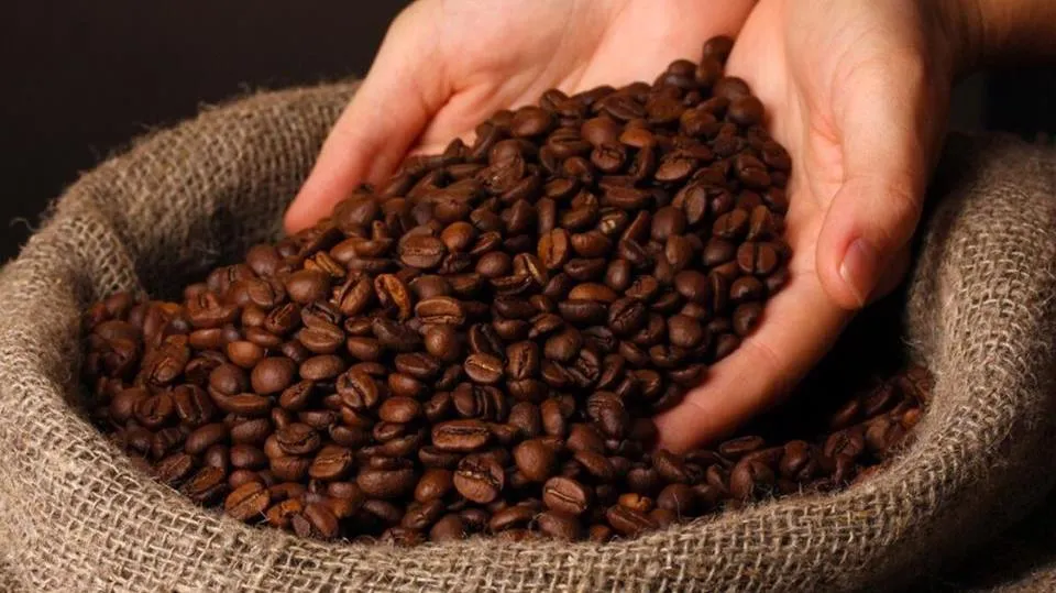 Giá cà phê hôm nay 14/3/2023: Giá Robusta suy yếu trong khi Arabica trên đà hồi phục