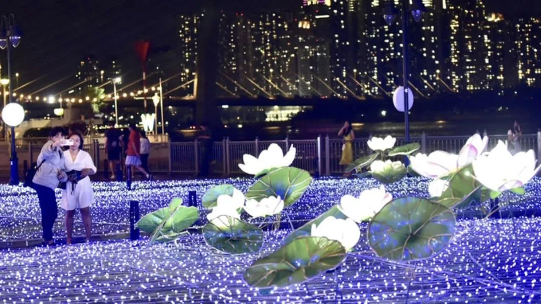 Bến Bạch Đằng: 500.000 đèn LED kết thành hồ sen, vườn hoa Sakura - 50 năm quan hệ Việt - Nhật