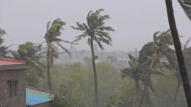 Số người chết do bão Freddy ở Malawi tăng lên 360