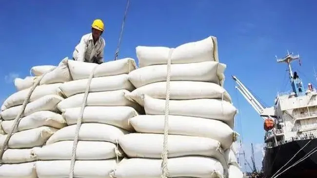 Giá lúa gạo hôm nay 20/3/2023: Sức mua từ thị trường Trung Quốc tăng mạnh