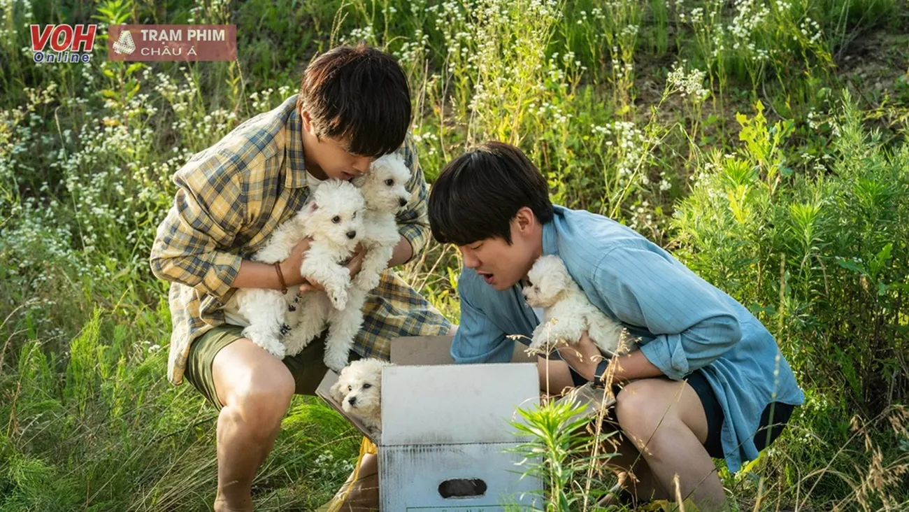 Tìm Nhà Cho Boss Review: Bộ phim chữa lành chạm trái tim, Yoo Yeon Seok khiến người xem rung động