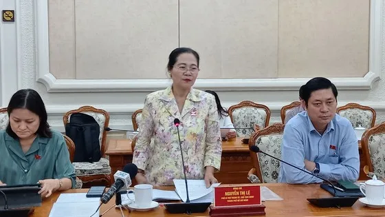 Bàn giải pháp về chậm cấp Giấy chứng nhận quyền sử dụng đất tại quận 7 và huyện Nhà Bè