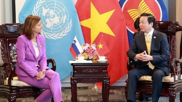 Việt Nam mong muốn tăng cường hợp tác giảm phát thải, chuyển đổi năng lượng