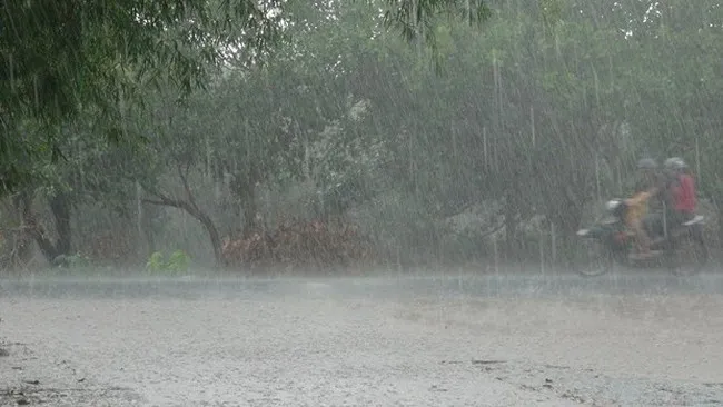 Cảnh báo mưa to ở vùng núi trung du Bắc Bộ từ tối 25/3