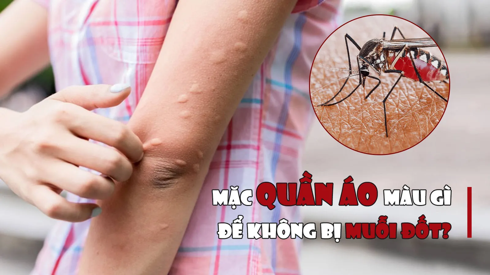 Những màu sắc quần áo nên tránh để không bị muỗi đốt