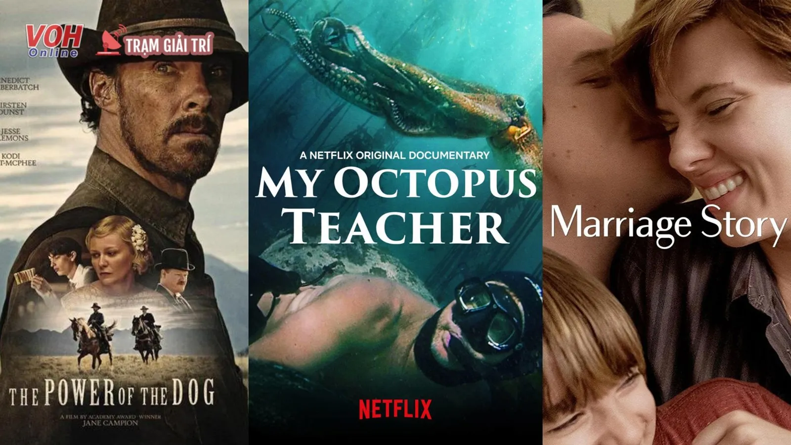 Tổng hợp 15 phim đoạt giải Oscar hay nhất trên Netflix