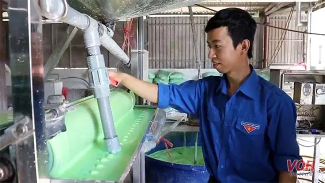 Thanh niên mạnh dạn thay đổi mô hình sản xuất bánh tráng mang lại năng suất cao