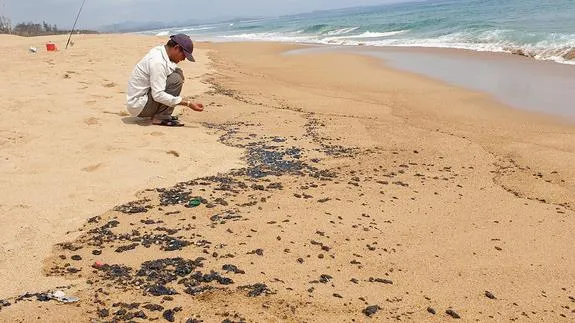 Vì sao có dầu vón cục trên bờ biển Tuy Hòa?