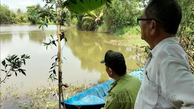 Có cá sấu ở các ao, kênh tại xã Long Thạnh, tỉnh Bạc Liêu