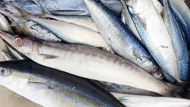 Giá cả thị trường hôm nay 4/4/2023: Cá thu nhật từ 70.000 đồng/kg