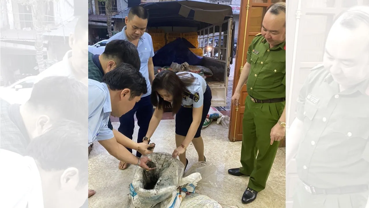 Yên Bái thu giữ hơn 2,8 tấn quặng thiếc không có nguồn gốc hợp pháp