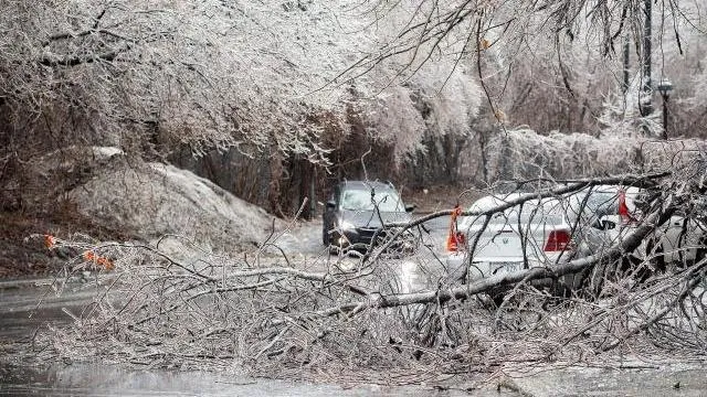 Bão tuyết mạnh tấn công Canada, hơn 1 triệu người mất điện