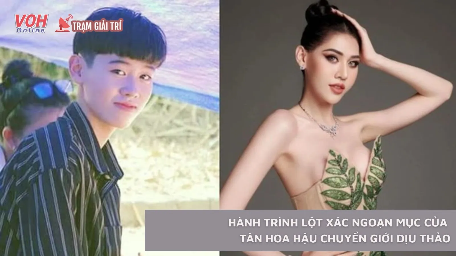 Hành trình lột xác ngoạn mục của tân hoa hậu chuyển giới Dịu Thảo