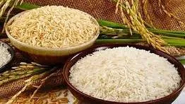 Giá lúa gạo hôm nay 14/4/2023: Giá luá tăng 100 – 300 đồng/kg