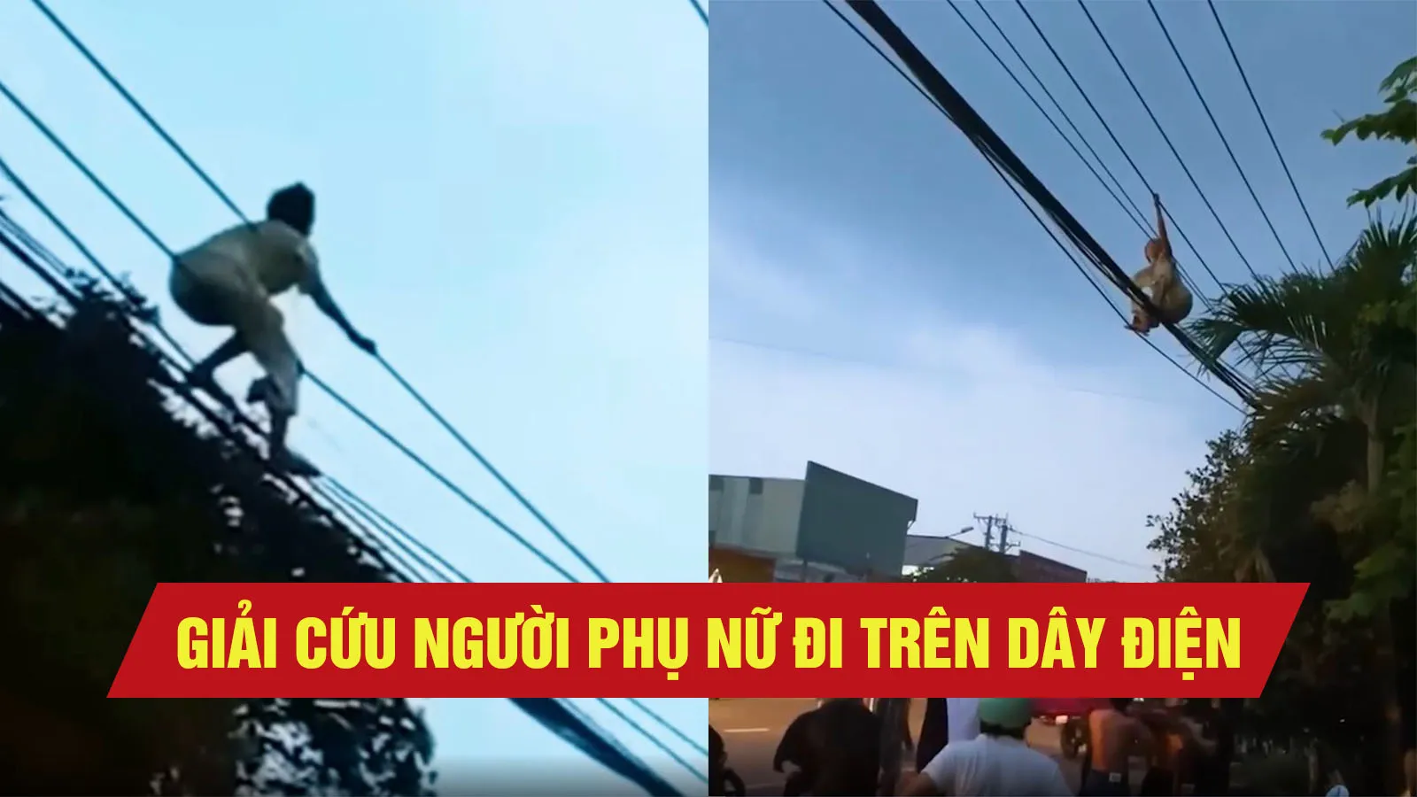 “Người nhện” đi trên dây điện ở Bình Dương