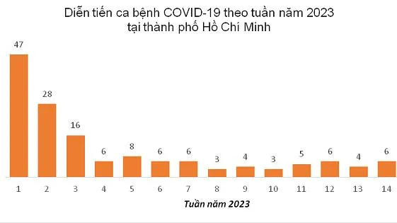 TPHCM: Số ca mắc, nhập viện do Covid-19 tăng