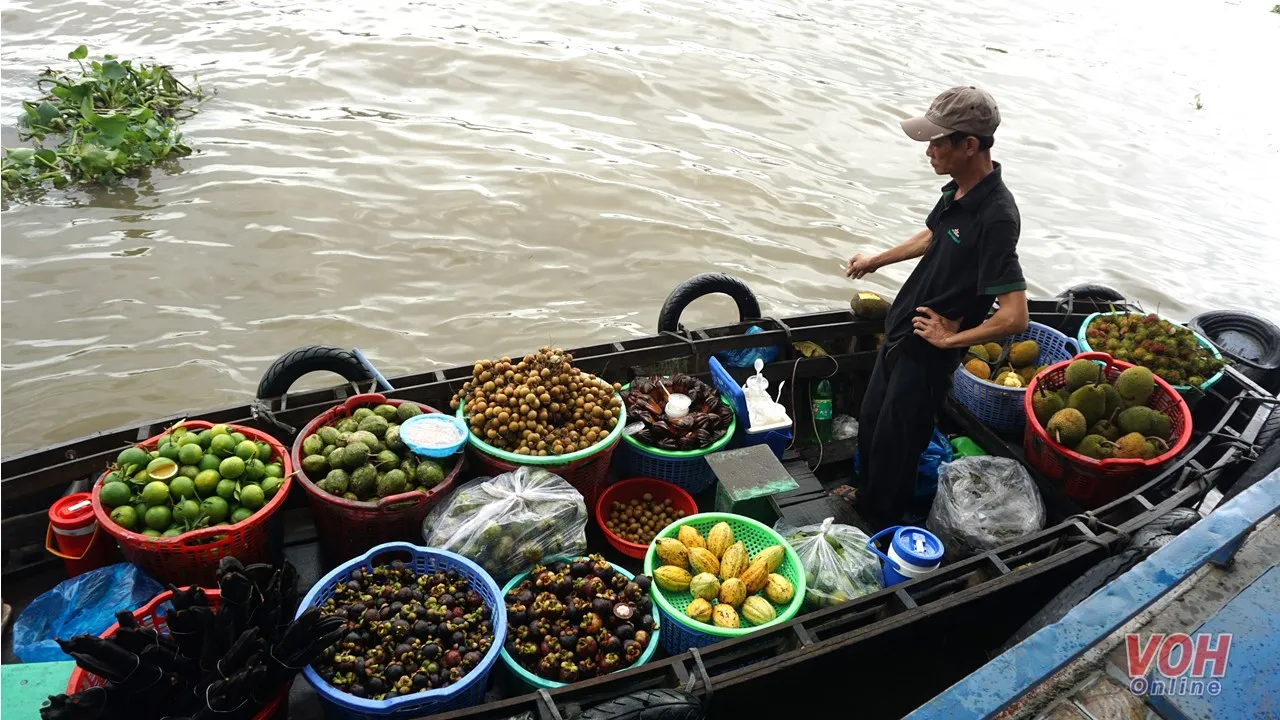 Cần Thơ “chặn” nạn chèo kéo, đón bắt khách du lịch tại khu vực bến Ninh Kiều