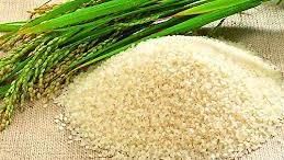 Giá lúa gạo hôm nay 5/5/2023: Tăng 100 - 500 đồng/kg, thị trường sôi động