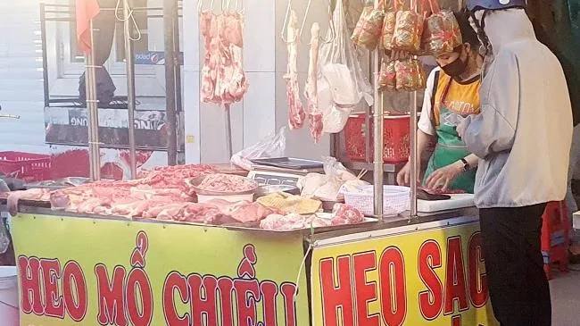 Giá heo hơi hôm nay 5/5/2023: Cao nhất 54.000 đồng/kg