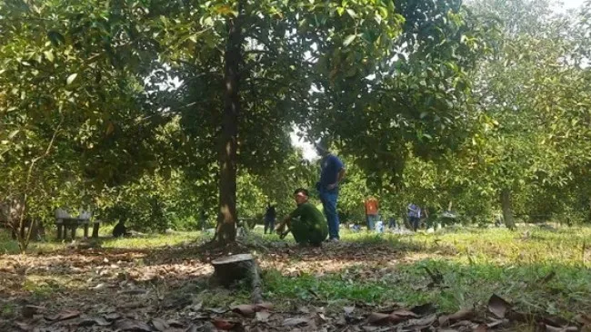 Người phụ nữ bị giết trong vườn trái cây ở Củ Chi