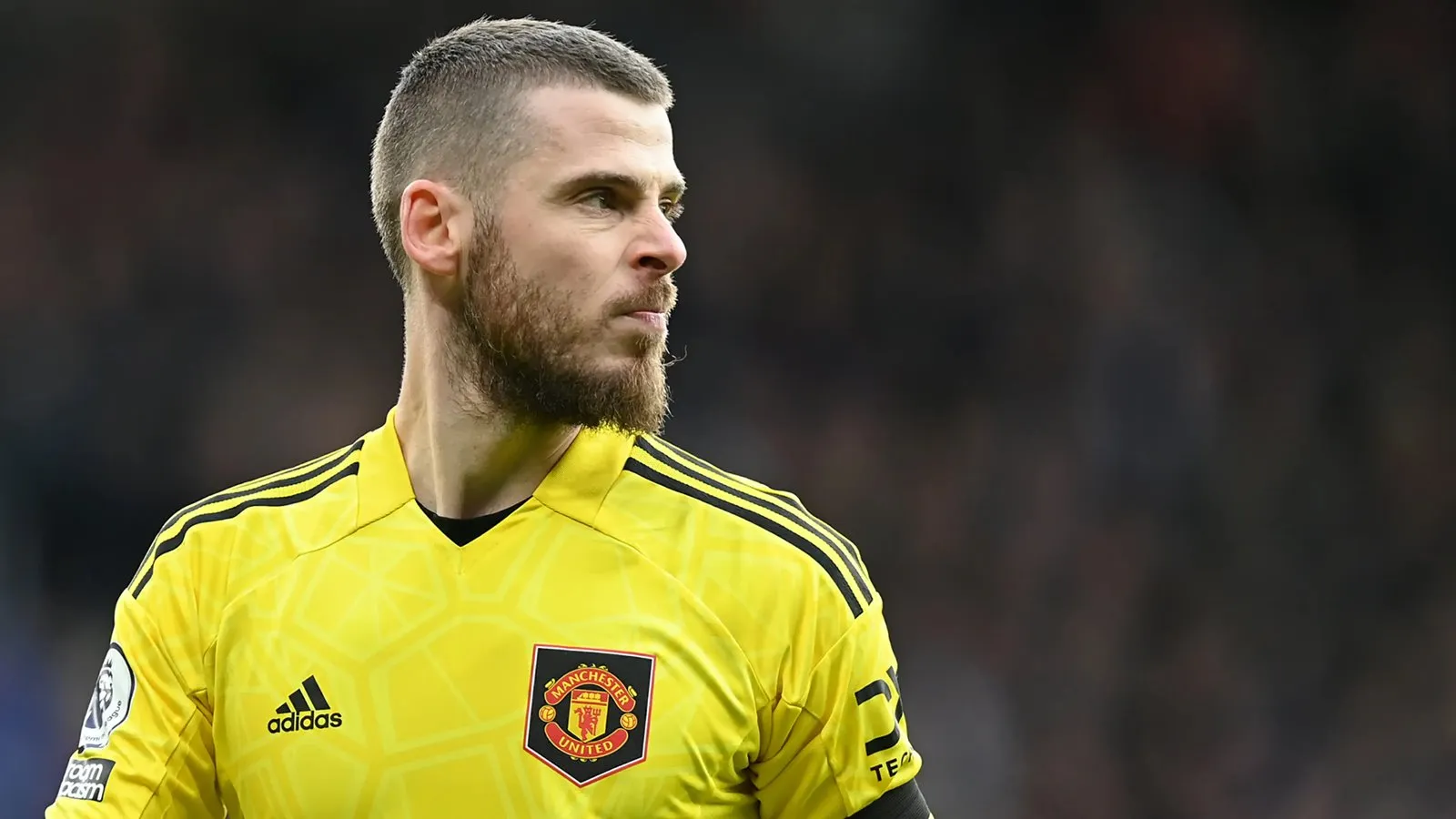 MU chọn mua gấp 3 thủ môn thay thế De Gea