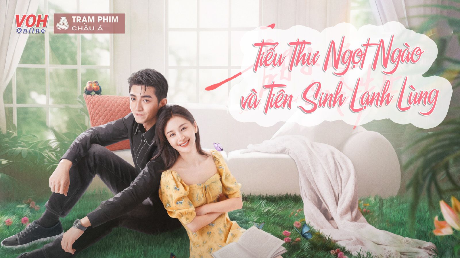 Tiểu Thư Ngọt Ngào Và Tiên Sinh Lạnh Lùng: Kim Hạn trở lại cùng Vương Tử Văn