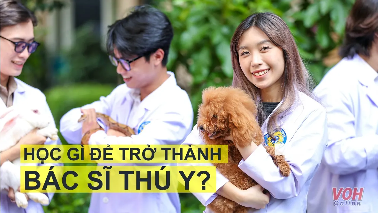 Học gì để trở thành Bác sĩ thú y?