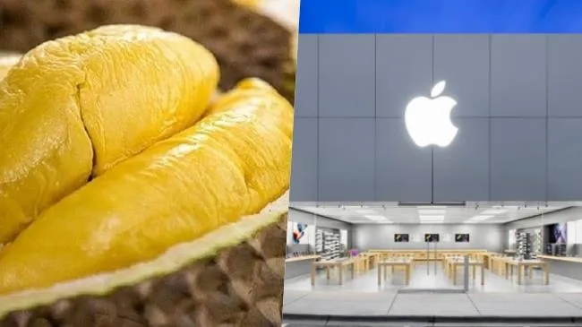 Điểm tin trưa 12/5: Sầu riêng Việt có lợi thế tại Anh | Apple Store online mở cửa tại VN